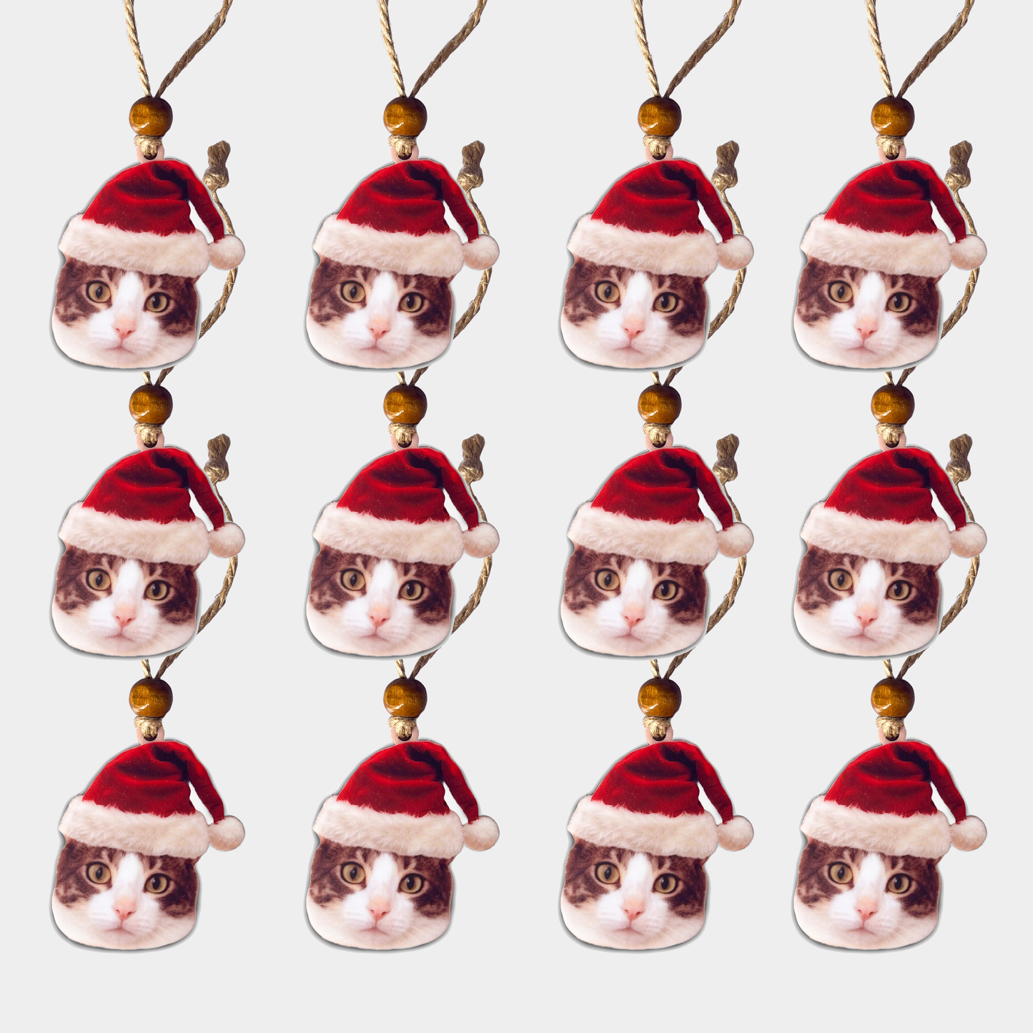 Acrylic Christmas Ornament: Santa Hat Pet
