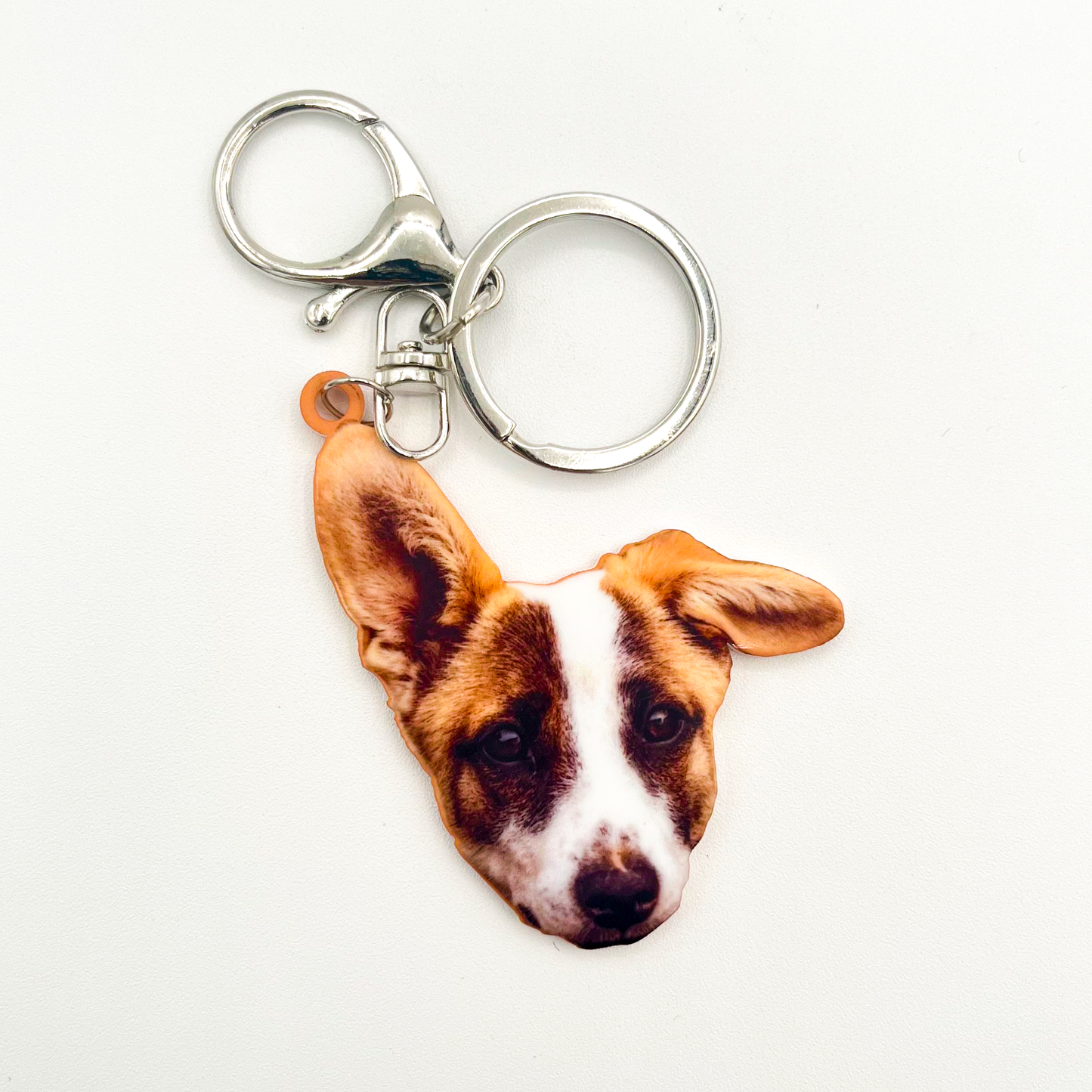 Acrylic Pet Bag Charm: Dog Basic Set