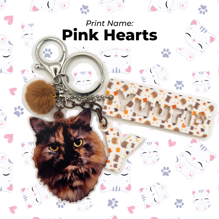 Acrylic Pet Bag Charm: Cat Pompom Set
