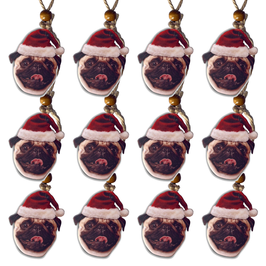 Acrylic Christmas Ornament: Santa Hat Pet