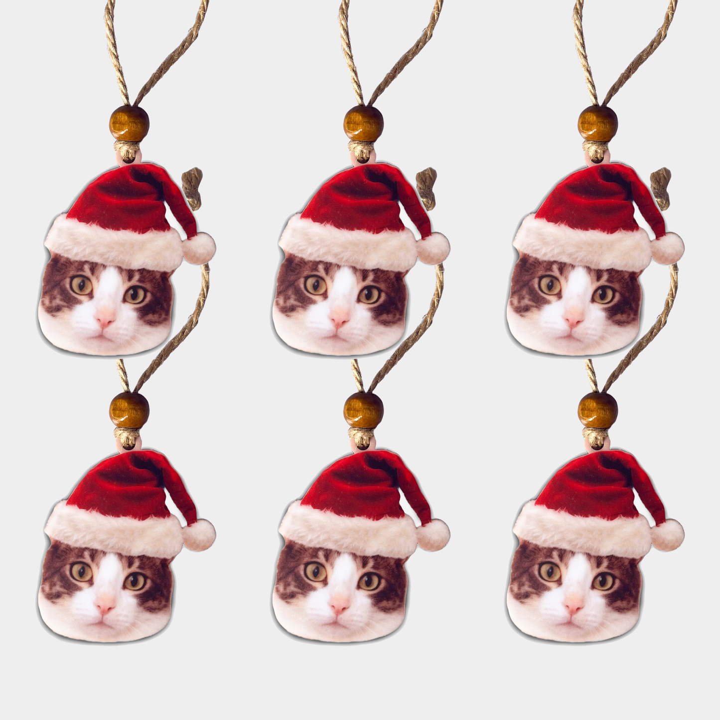 Acrylic Christmas Ornament: Santa Hat Pet