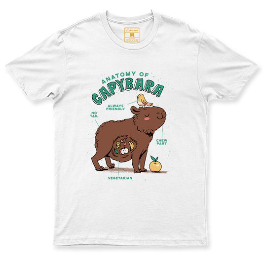 C. Spandex Shirt: Anatomy of Capybara