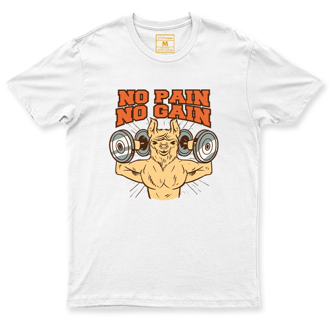 Drifit Shirt: No Pain, No Gain
