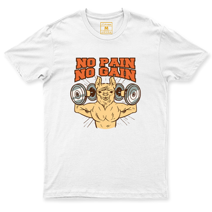 Drifit Shirt: No Pain, No Gain