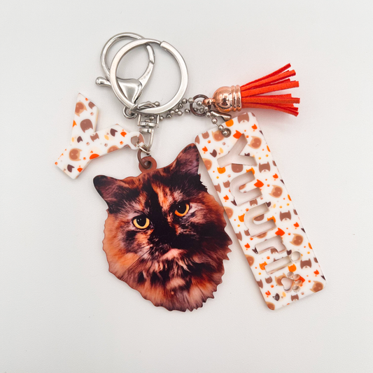 Acrylic Pet Bag Charm: Cat Tassel Set
