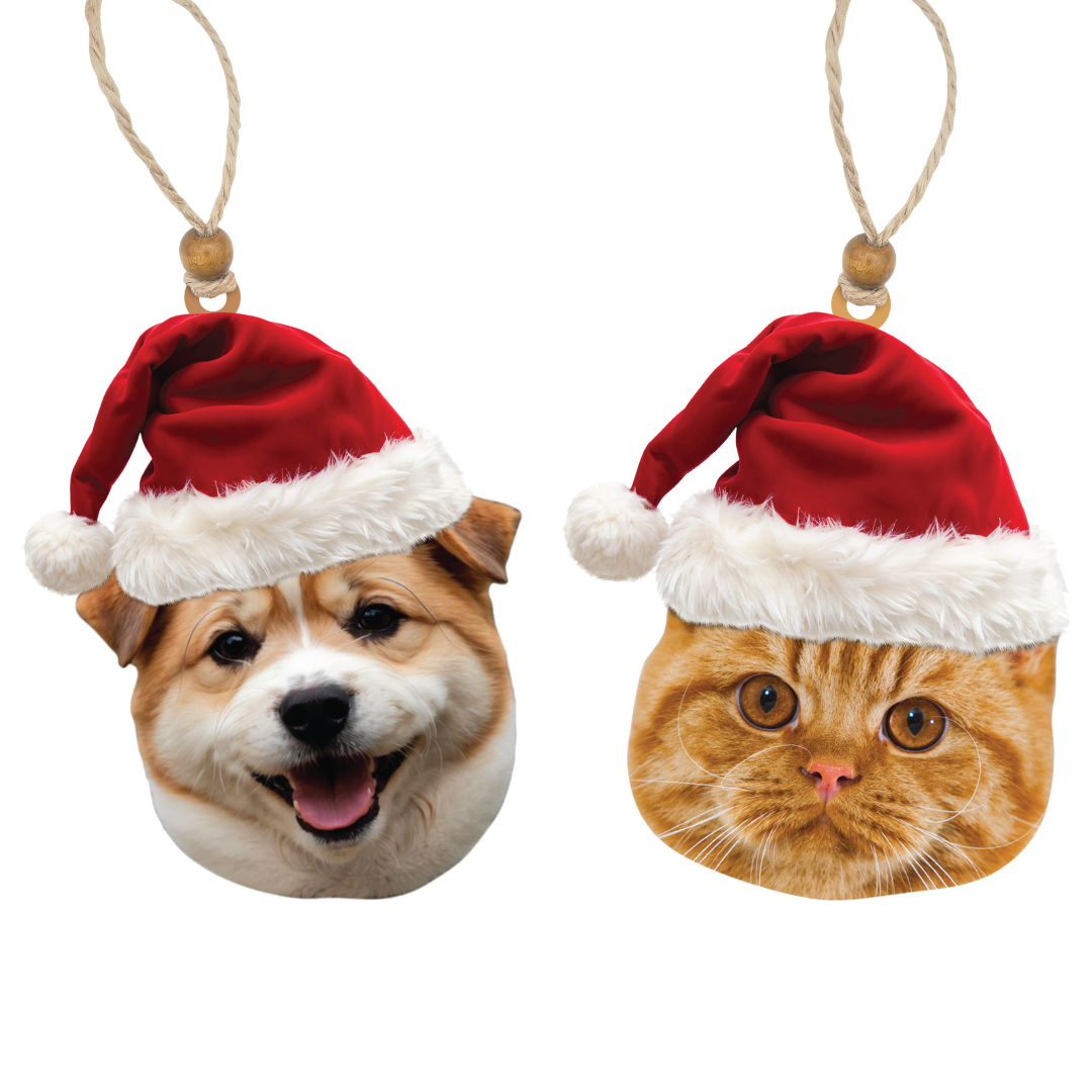 Acrylic Christmas Ornament: Santa Hat Pet